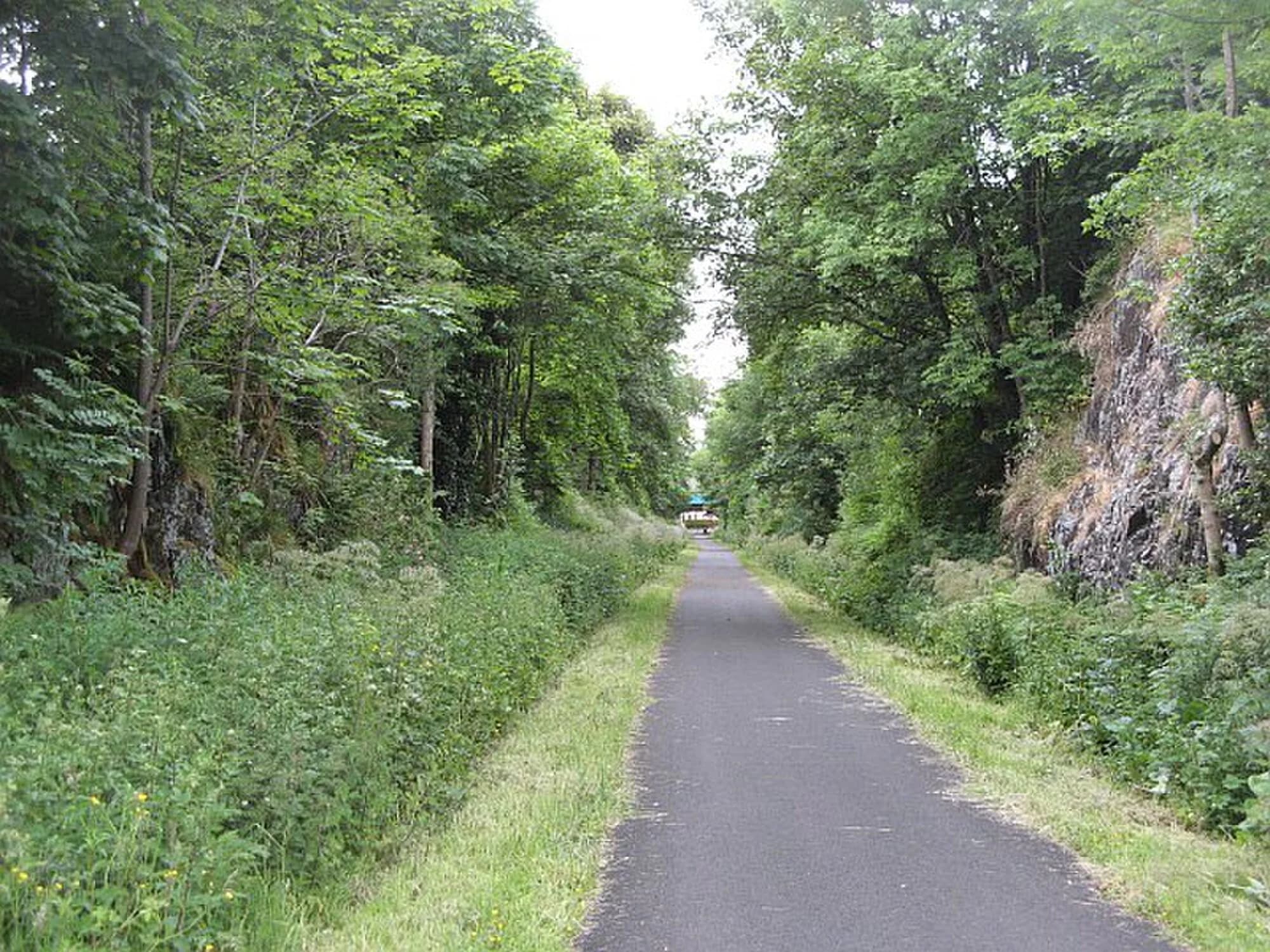 Vets in Bridge Of Weir